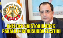 AKEL, HRİSTODULİDİS’İ PAHALILIK KONUSUNDA ELEŞTİRDİ