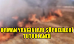 KURU OTLARI ATEŞE VEREREK YANGIN ÇIKARTAN 4 KİŞİ YAKALANDI