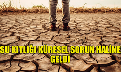 KÜRESEL SU KRİZİ KAPIDA, DÜNYA ALARM VERİYOR!