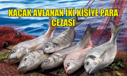 KANUNSUZ AVCILIK YAPAN BALIKÇILARA CEZA KESİLDİ