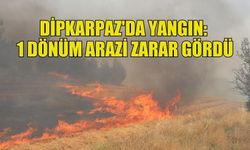 DİPKARPAZ'DA YANGIN: KURU OTLAR VE MAKİ BİTKİLERİ ZARAR GÖRDÜ