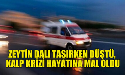 ZEYTİN DALI TAŞIRKEN DÜŞEN ALİ NİHAT PAYAS, KALP KRİZİ GEÇİRDİ