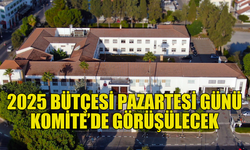 2025 BÜTÇESİ PAZARTESİ GÜNÜ KOMİTE’DE GÖRÜŞÜLMEYE BAŞLAYACAK