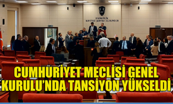 MECLİS GENEL KURULU'NDA TARTIŞMA YAŞANIYOR