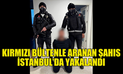 KIRMIZI BÜLTENLE ARANAN MİKE GERNER LARSEN İSTANBUL’DA YAKALANDI