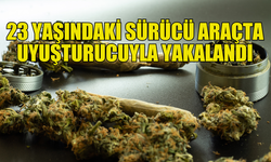 HİNTKENEVİRİYLE YAKALANAN SÜRÜCÜ TUTUKLANDI