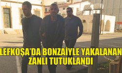 LEFKOŞA’DA BONZAİ BULUNDURAN ZANLI SUÇÜSTÜ YAKALANDI