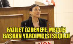 ÖZDENEFE YENİDEN CUMHURİYET MECLİSİ BAŞKAN YARDIMCISI SEÇİLDİ