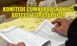 KOMİTEDE CUMHURBAŞKANLIĞI BÜTÇESİ TARTIŞILIYOR