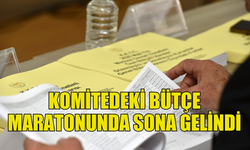 KOMİTEDEKİ BÜTÇE MARATONUNDA BUGÜN SON GÜN…