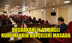 BAŞBAKANLIK VE BAŞBAKANLIĞA BAĞLI KURUMLARIN BÜTÇELERİ GÖRÜŞÜLECEK