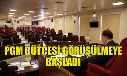 CUMHURİYET MECLİSİ, 2025 MALİ YILI BÜTÇESİNİ GÖRÜŞMEYE DEVAM EDİYOR