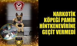 NARKOTİK DEDEKTÖR KÖPEKLERİ UYUŞTURUCU TACİRLERİNE GEÇİT VERMİYOR...