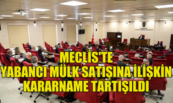 MECLİS GENEL KURULU'NDA “TAŞINMAZ MAL EDİNME (YABANCILAR) YASA GÜCÜNDE KARARNAME” TARTIŞILDI