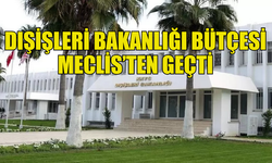 DIŞİŞLERİ BAKANLIĞI BÜTÇESİ MECLİS’TE ONAYLANDI