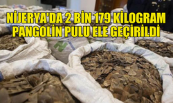 NİJERYA’DA 2 BİN KİLOGRAM PANGOLİN PULU ELE GEÇİRİLDİ