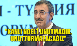 TÜRKİYE CUMHURBAŞKANI YARDIMCISI YILMAZ, "KANLI NOEL" ŞEHİTLERİNİ ANDI