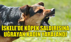 İSKELE'DE SAHİBİNİN SERBEST BIRAKTIĞI KÖPEK  YÜRÜYÜŞ YAPAN KADINA SALDIRDI