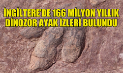 İNGİLTERE’DE 166 MİLYON YILLIK DİNOZOR AYAK İZLERİ BULUNDU