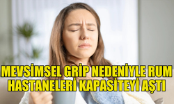 RUM SAĞLIK SİSTEMİ MEVSİMSEL GRİP VAKALARI YÜZÜNDEN TEYAKKUZDA