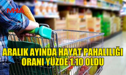 ARALIK AYI HAYAT PAHALILIĞI ORANI YÜZDE 1.10 OLARAK AÇIKLANDI