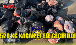 GAYRETKÖY'DE 520 KİLO KAÇAK ET ELE GEÇİRİLDİ