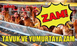 TAVUK VE YUMURTAYA ZAM GELDİ!