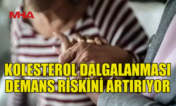 DEMANS RİSKİ KOLESTEROL DALGALANMASIYLA ARTIYOR