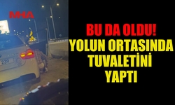 GİRNE'DE SÜRÜCÜ, YOLU ORTASINDA ULUORTA TUVALETİNİ YAPTI