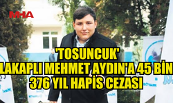 TOSUNCUK’A BİLİŞİM SUÇLARINDAN 45 BİN 376 YIL HAPİS CEZASI!