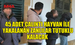 SAHTE KULAK NUMARALI 45 KÜÇÜKBAŞ HAYVAN İLE YAKALANDILAR