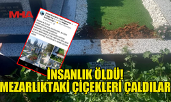 MEZARLIKTA HIRSIZLIK! KARANFİLLERİ SÖKÜP ÇALDILAR