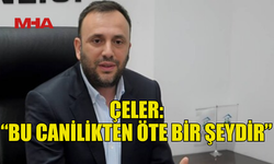 ÇELER: “KATLİAMI YAPANLAR EN AĞIR ŞEKİLDE CEZALANDIRILMALI”