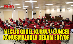 MECLİS GENEL KURUL'UNDA GÜNCEL KONUŞMALAR SÜRÜYOR