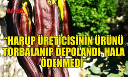 HARUP ÜRETİCİLERİ: 5 AY GEÇMESİNE RAĞMEN HALA BİR ADIM ATILMADI