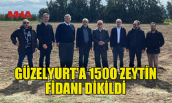 GÜZELYURT'TA VAKIF ARAZİSİNE 1500 FİDAN DİKİLDİ