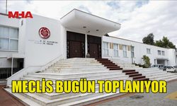 MECLİS BUGÜN TOPLANIYOR (3.03.2025)