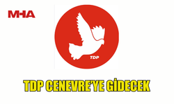 TDP, KIBRIS SORUNU İÇİN CENEVRE’YE GİDİYOR