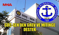 GÜÇ-SEN’DEN GREV VE MİTİNGE DESTEK: “DEMOKRASİ MÜCADELESİNİN YANINDAYIZ”