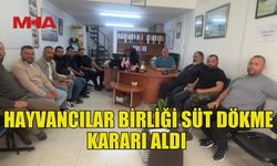 SÜTTE KRİZ BÜYÜYOR: HAYVANCILAR SÜT DÖKME KARARI ALDI