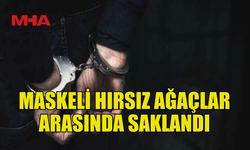 HIRSIZLIK ZANLISI LONG BEACH’TE SUÇÜSTÜ YAKALANDI