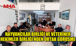 HAYVANCILAR BİRLİĞİ VE VETERİNER HEKİMLER BİRLİĞİ ORTAK GÖRÜŞME YAPTI