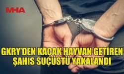 GÜMRÜKSÜZ BUZAĞI VE DÜVE TAŞIYAN ARAÇ POLİSE YAKALANDI