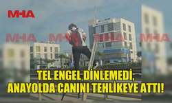 BELEDİYENİN ÇEKTİĞİ TEL ENGELİ AŞIP ANAYOLA ATLADI
