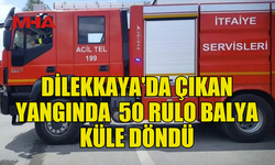 DİLEKKAYA'DA  50 RULO BALYAYI ALEVLER YUTTU