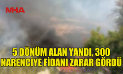 YILDIRIM’DA BAHÇEDE YANGIN: FİDANLAR KÜL OLDU