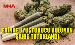 EVİNDE HİNTKENEVİRİ BULUNAN ŞAHIS TUTUKLANDI