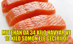 METEHAN GEÇİŞ KAPISI’NDA 34 KİLO HAVYAR İLE 10 KİLO SOMON BALIĞI ELE GEÇİRİLDİ