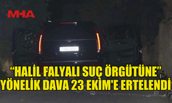 ANADOLU AJANSI: “HALİL FALYALI SUÇ ÖRGÜTÜNE” YÖNELİK DAVA 23 EKİM'E ERTELENDİ