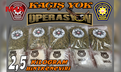 KAÇIŞ YOK OPERASYONU'NDA 2.5 KİLO HİNTKENEVİRİ ELE GEÇİRİLDİ